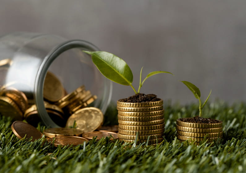 Agriculture and Food Security Loan